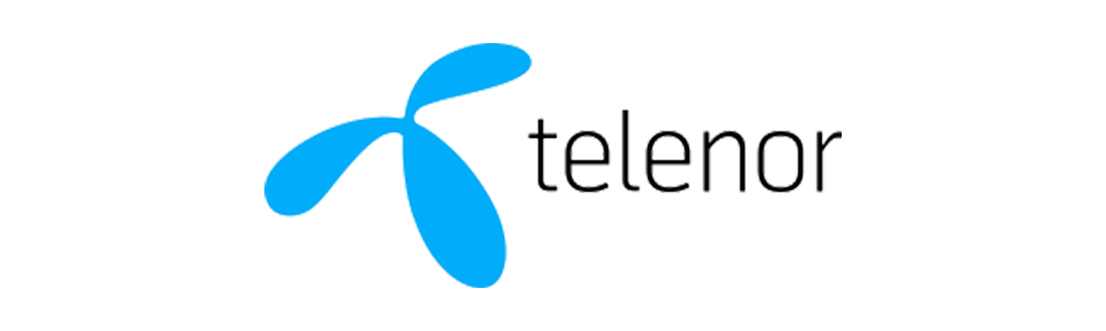 Telenor Bedriftsnett